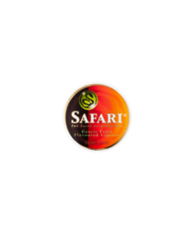 Safari logo