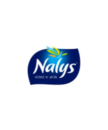Nayls logo