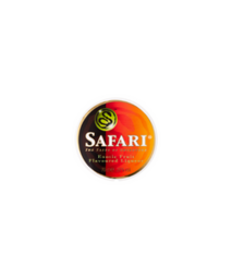 Safari logo