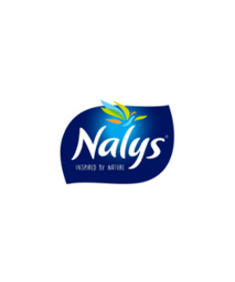 Nalys logo