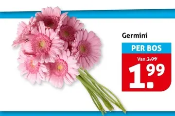 Aanbieding: Germini
