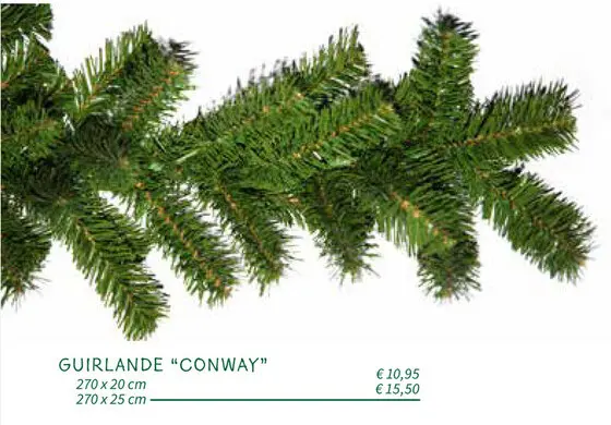 Promotie: Guirlande "conway"