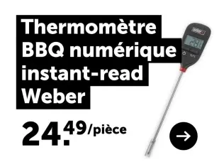 Offre: Thermomètre BBQ numérique instant-read