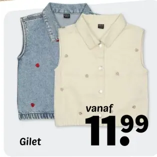 Aanbieding: Gilet