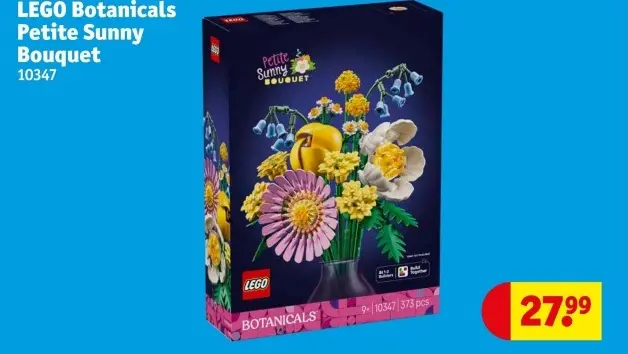 Aanbieding: Petite Sunny Bouquet