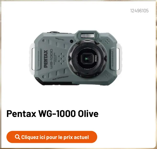 Offre: WG-1000 Olive