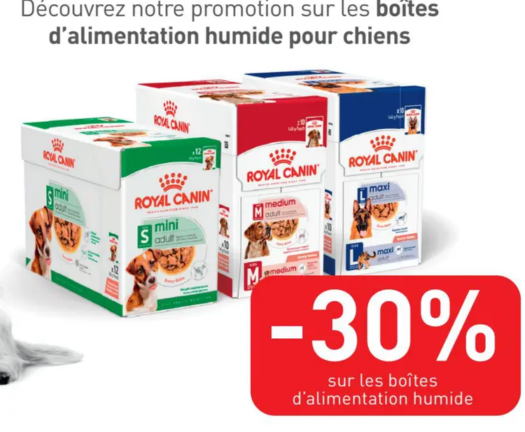 Offre: Boîtes d'alimentation humide pour chiens