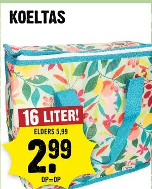 Aanbieding: Koeltas