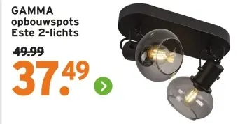 Aanbieding: GAMMA opbouwspots Este 2-lichts