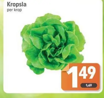 Aanbieding: Kropsla