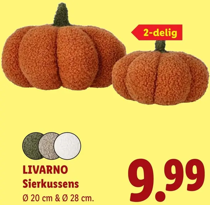 Aanbieding: Sierkussens