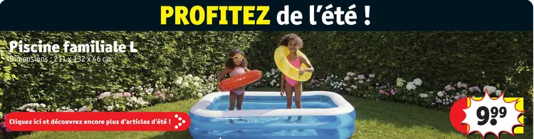 Offre: Piscine familiale L