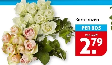 Korte rozen