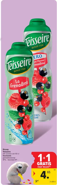 Promotie: Teisseire La Grenadine