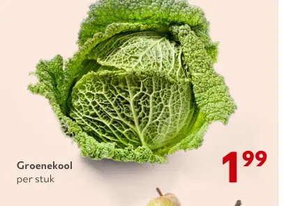 Promotie: Groenekool