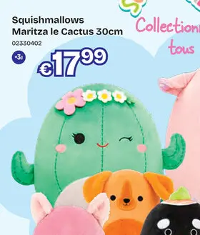 Offre: Maritza le Cactus