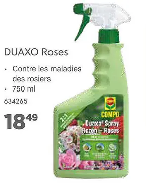 Aanbieding: DUAXO Roses