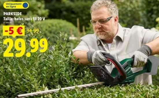 Offre: Taille-haies sans fil 20 V