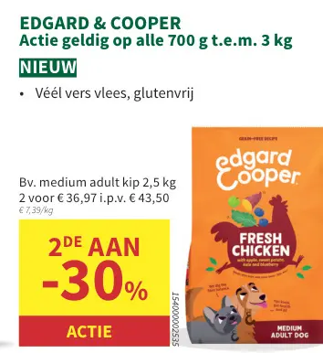 Promotie: Medium adult kip