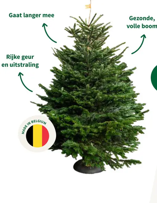 Aanbieding: Kerstboom