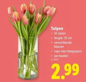 Promotie: Tulpen