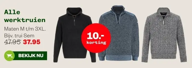 Aanbieding: werktruien