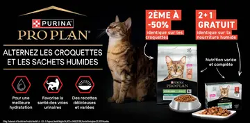 Offre: Pro plan