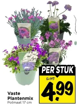 Vaste Plantenmix