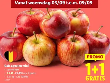 Aanbieding: Gala appelen mini