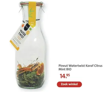 Aanbieding: Pineut Watertwist Karaf Citrus Mint BIO