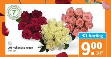 Aanbieding: AH Hollandse rozen