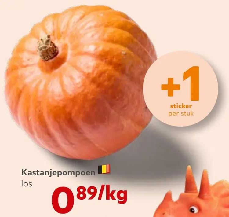 Aanbieding: Kastanjepompoen