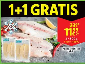 Aanbieding: Pangasiusfilets