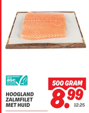 Zalmfillet met huid
