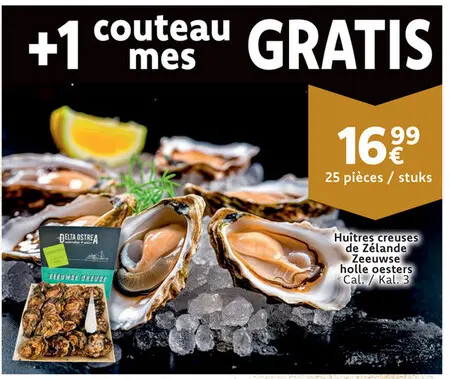 Offre: Huîtres creuses de Zélande / Zeeuwe holle oesters