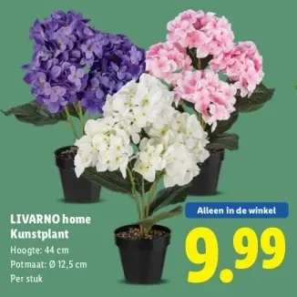 Aanbieding: LIVARNO home Kunstplant