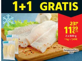 Aanbieding: Pangasiusfilets