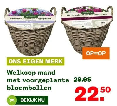 Aanbieding: Welkoop mand met voorgeplante bloembollen
