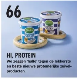 Aanbieding: Campina Greek