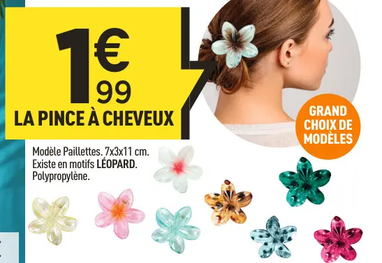 Offre: La pince à cheveux