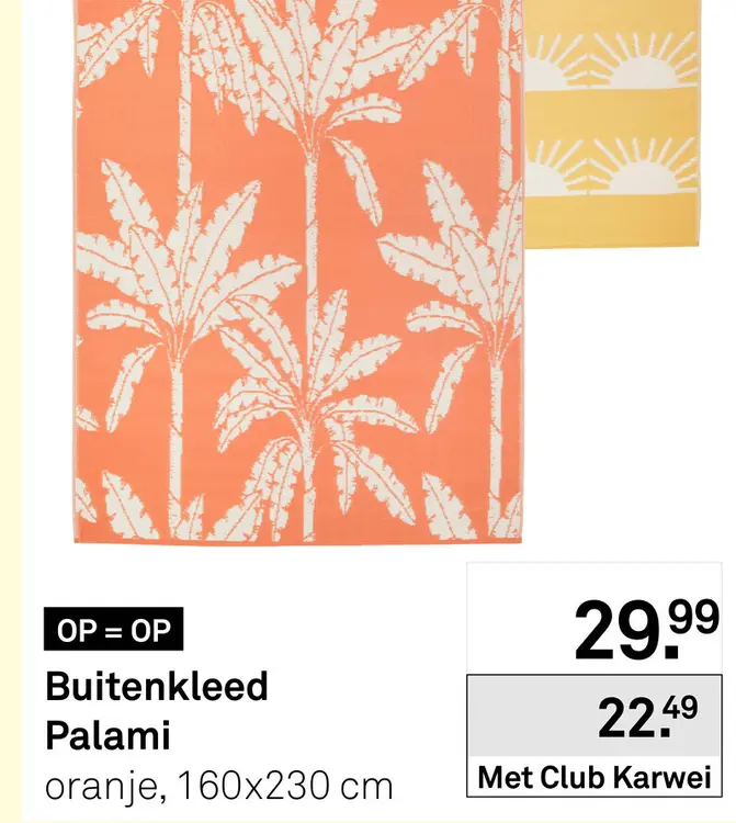 Aanbieding: Buitenkleed Palami