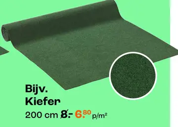 Aanbieding: Bijv. Kiefer