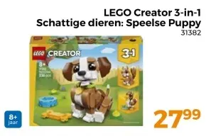 Aanbieding: Schattige dieren: Speelse Puppy