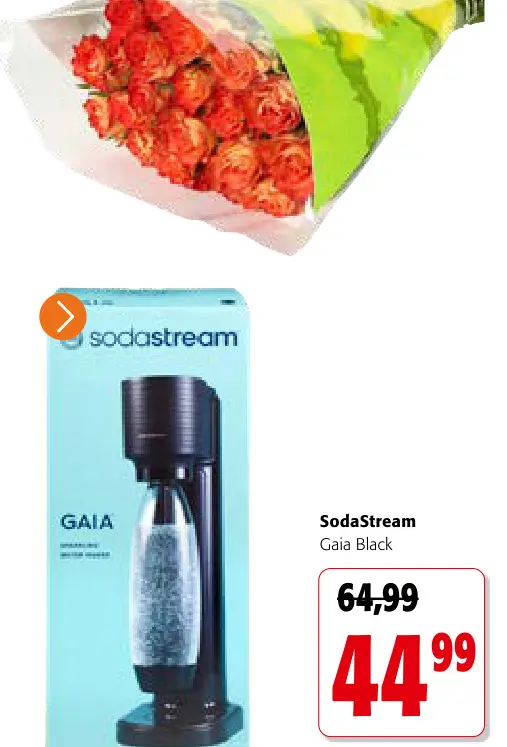 Offre: Gaia Black
