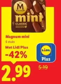 Aanbieding: Magnum mini