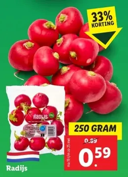 Aanbieding: Radijs