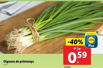 Offre: Oignons de printemps