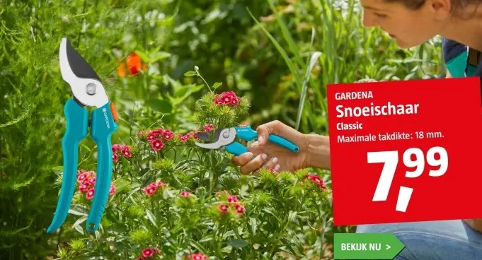 Aanbieding: Snoeishaar