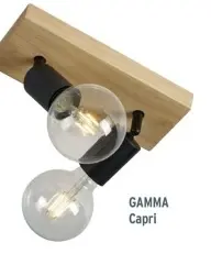 Promotie: GAMMA Capri