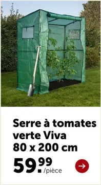 Offre: Serre à tomates verte
